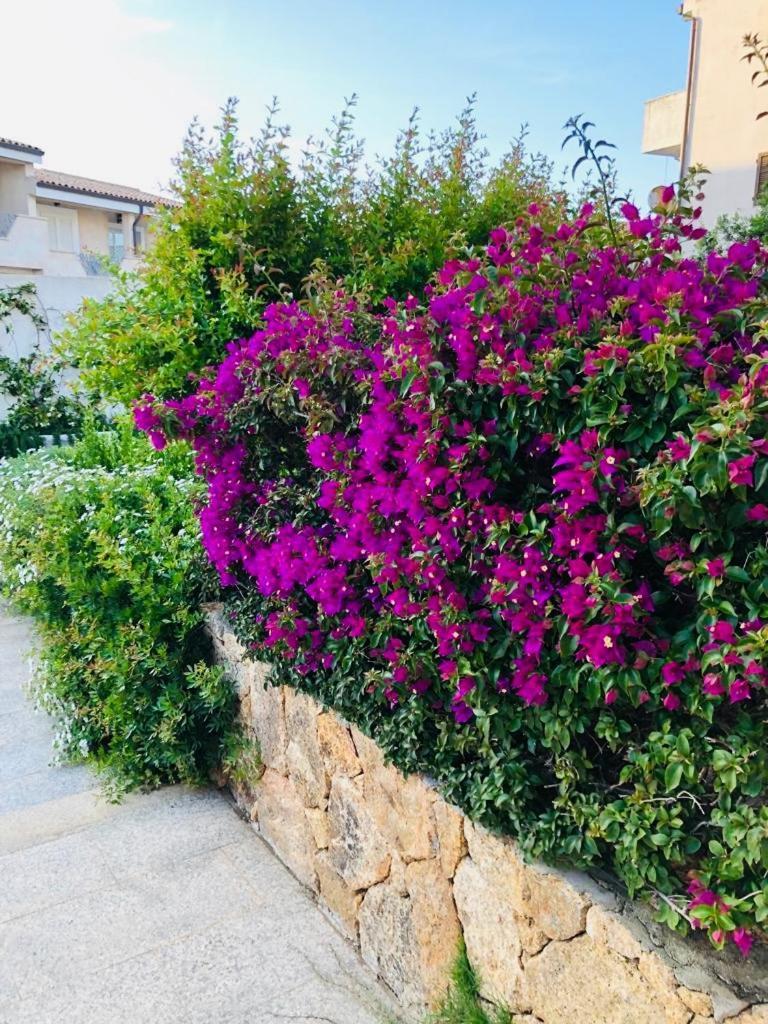 Lotus Wellness Apartment - Resort Ginestre - Palau - Sardinia Εξωτερικό φωτογραφία